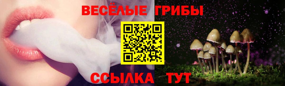 Галлюциногенные грибы GOLDEN TEACHER  Вход с VPN  Старый Оскол 